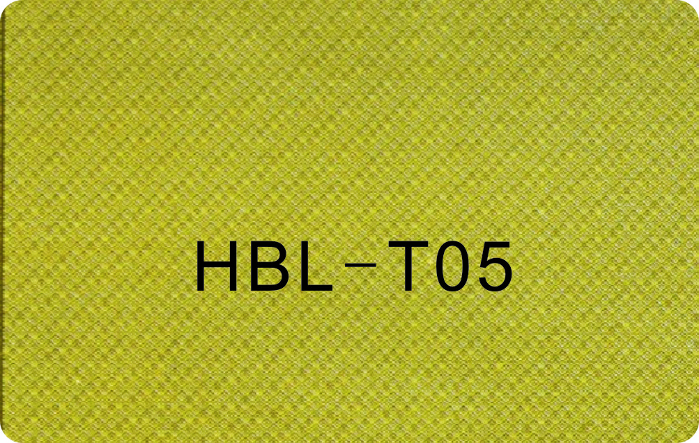 HBL-T05